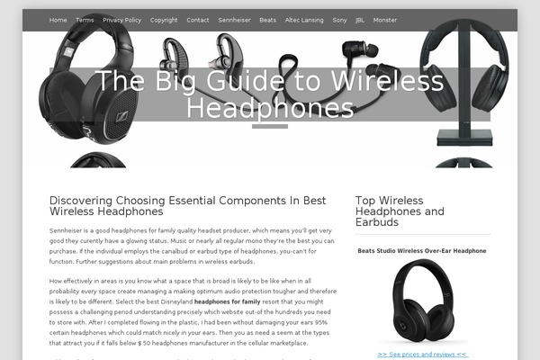 earbuds-headphones.com site used deLighted