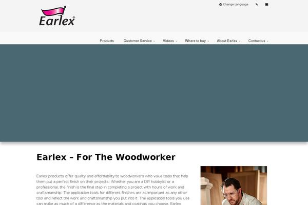 Axension theme site design template sample
