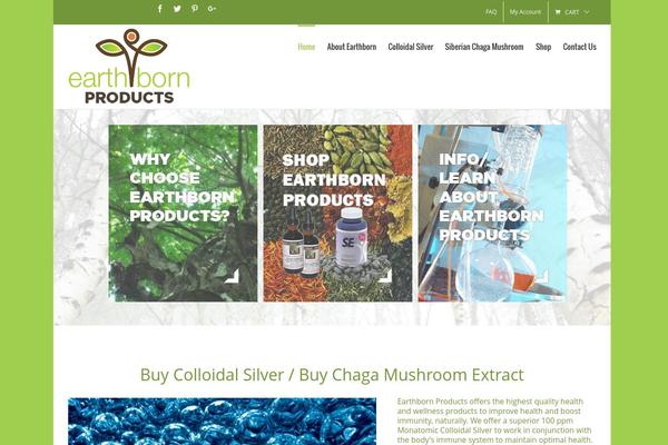 Avada theme site design template sample