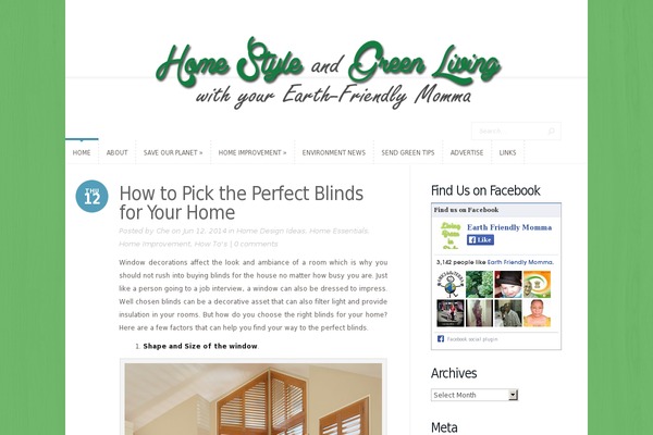 earthfriendlymomma.com site used Bido