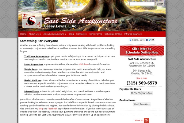 eastside-acupuncture.com site used Acuperfectwebsitesv2