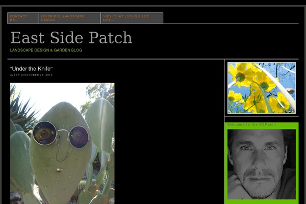 Thesis 1.8.5 theme site design template sample