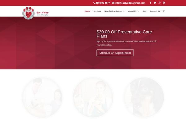 Site using Autoptimize plugin