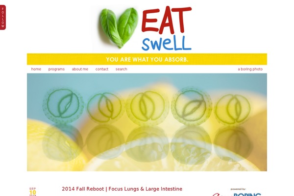 ProPhoto 5 theme site design template sample