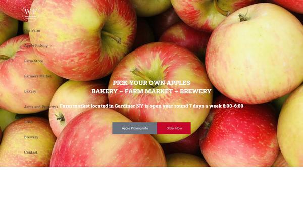 WordPress website example screenshot