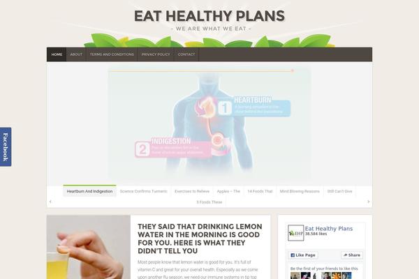 SaladMag theme site design template sample