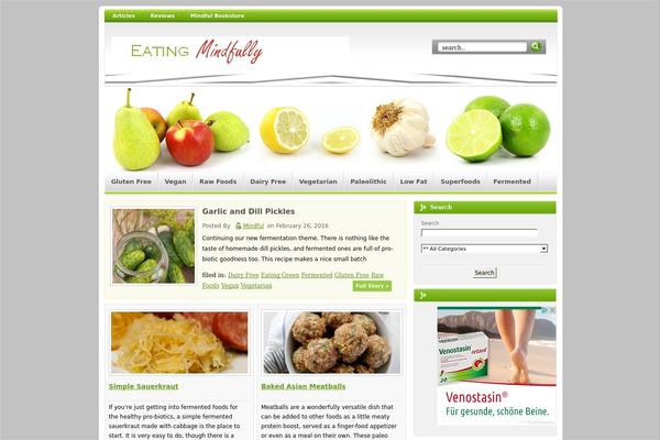 Eyegaze theme site design template sample