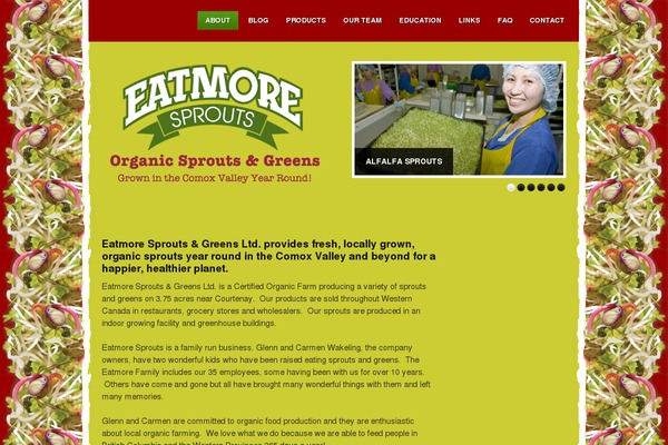 origano theme websites examples