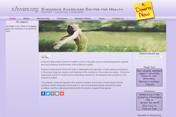 eaware.org site used Headway-2013