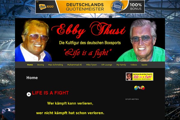 WordPress website example screenshot
