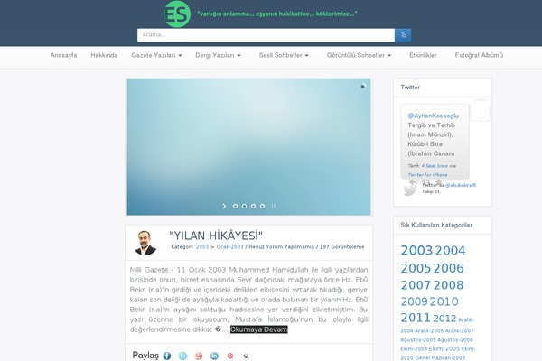 Pro theme site design template sample