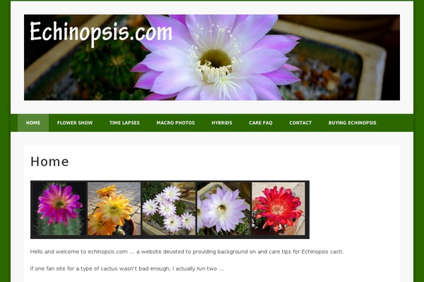 Site using Chimpy Lite - MailChimp WordPress Plugin plugin