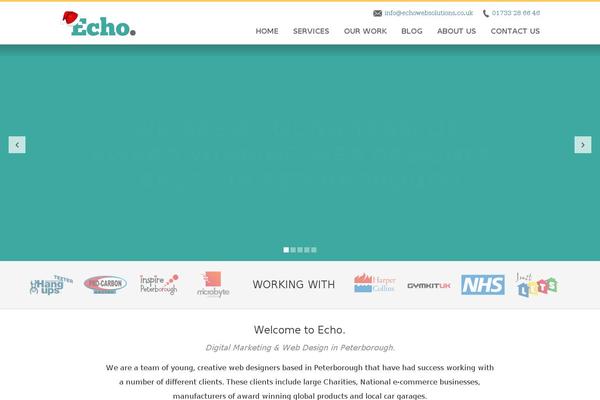 Echo theme site design template sample