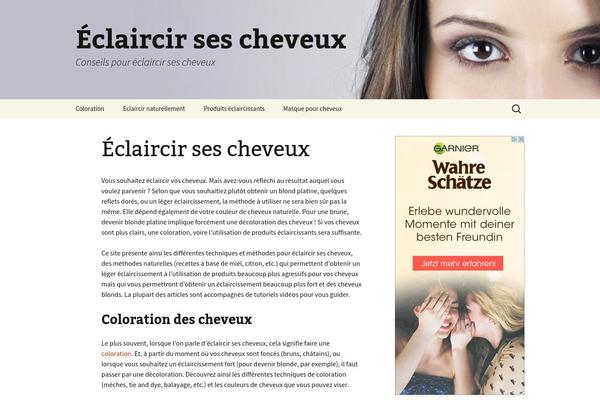 Twenty Thirteen theme site design template sample