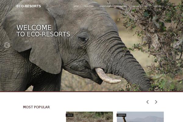 WordPress website example screenshot