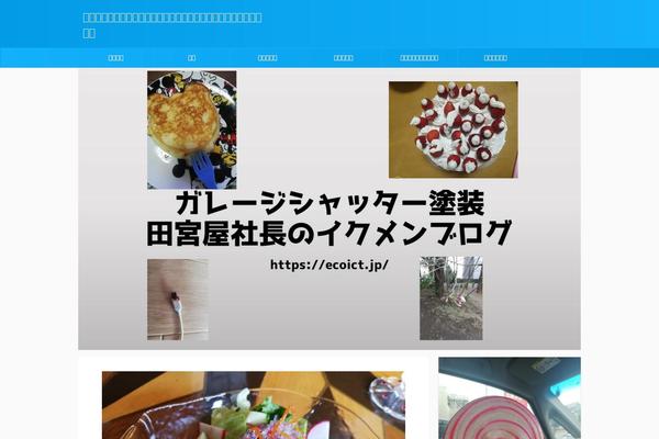 ecoict.jp site used Affinger5-child