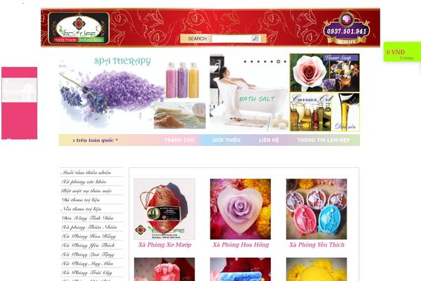 WordPress website example screenshot