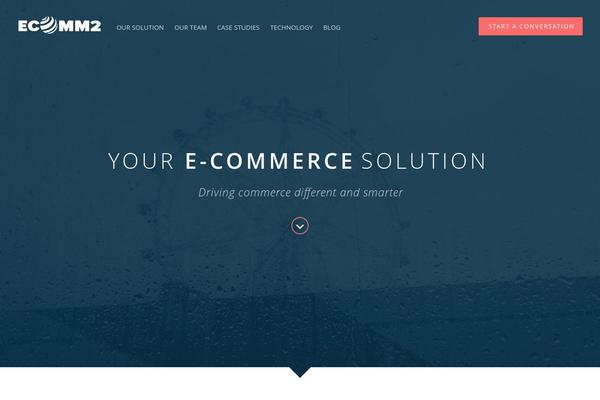 Salient theme site design template sample