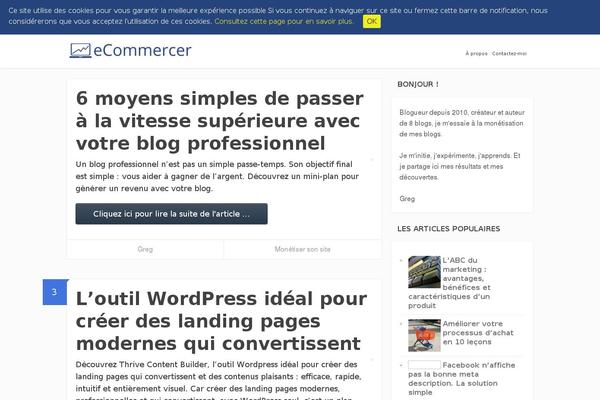 ecommercer.fr site used Focusblog