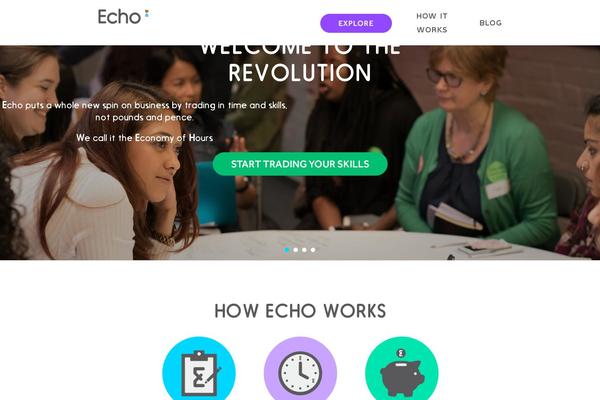 Echo theme site design template sample