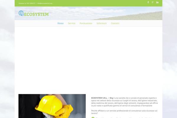 ecosystemsrl.org site used Avada