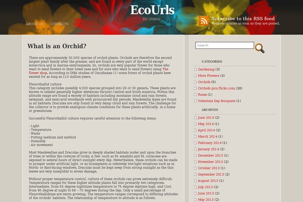 WordPress website example screenshot