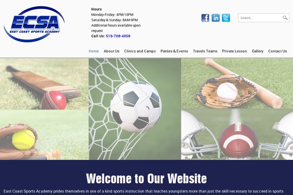 ecsa theme websites examples