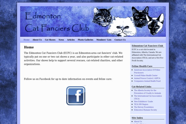 2010 Weaver theme site design template sample