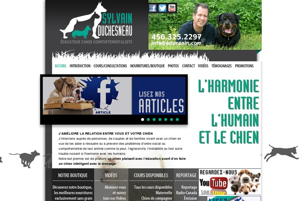 WordPress website example screenshot