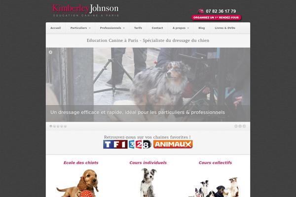 Akita theme site design template sample