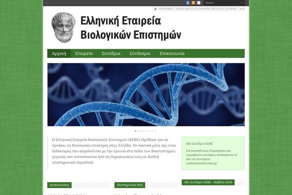 WordPress website example screenshot