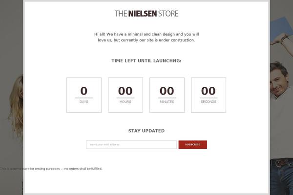 Nielsen theme site design template sample