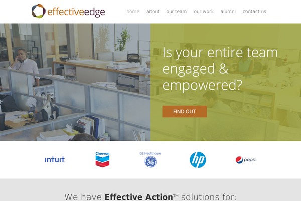 effectiveedge.com site used Welldone