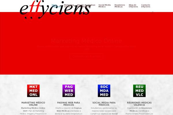 effyciens.com site used Effyciens-child