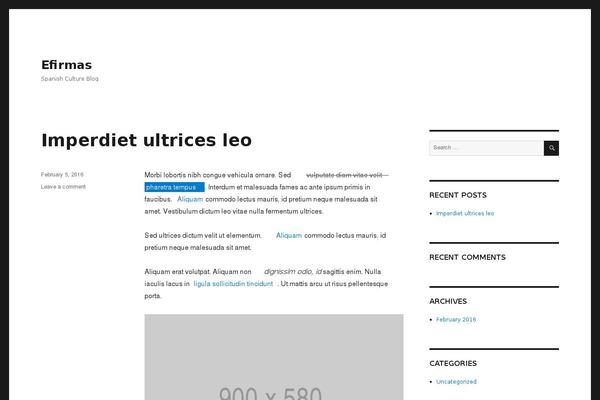 WordPress website example screenshot