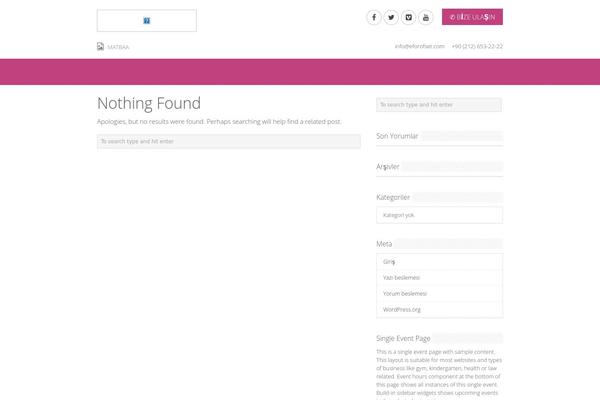 WordPress website example screenshot