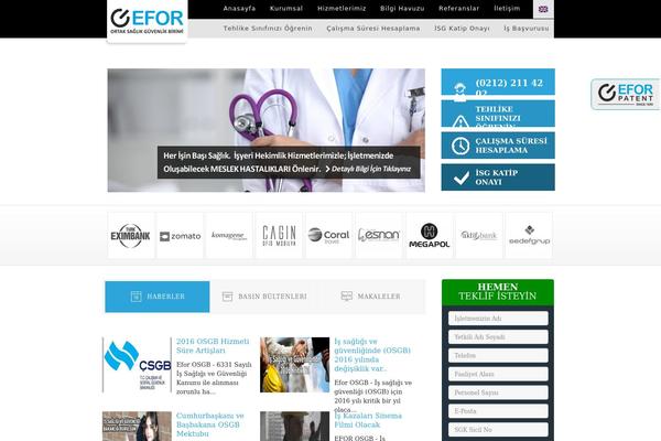 Efor theme site design template sample