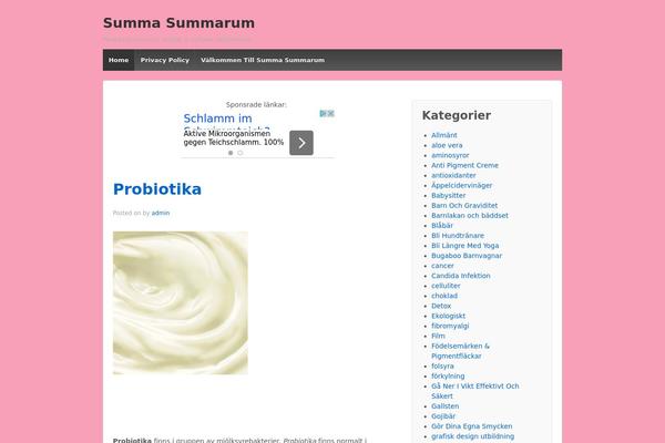 WordPress website example screenshot