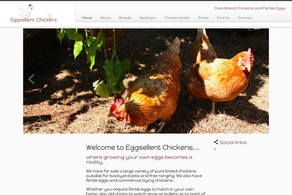 eggsellentchickens.com.au site used Customizr