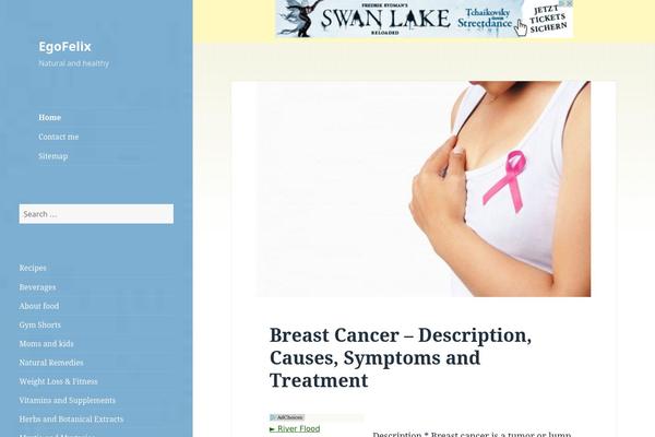 WordPress website example screenshot