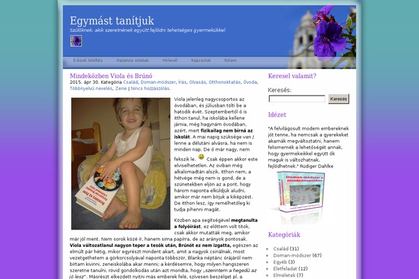 WordPress website example screenshot