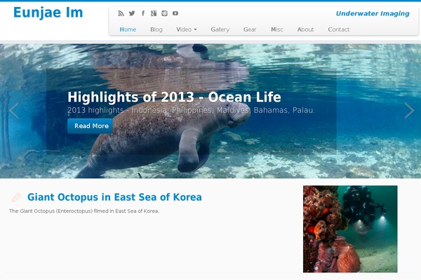 Twenty Sixteen theme site design template sample