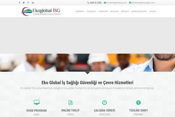 ekoglobalsaglik theme websites examples