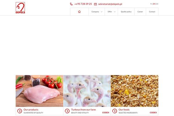 WordPress website example screenshot