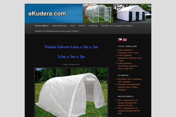 Divi theme site design template sample