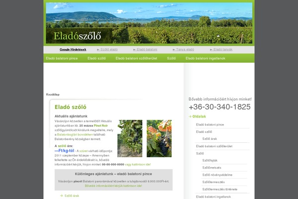 WordPress website example screenshot