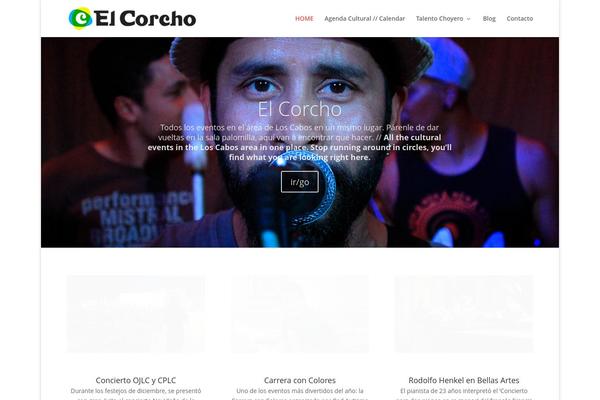 Site using AccessPress Social Share plugin