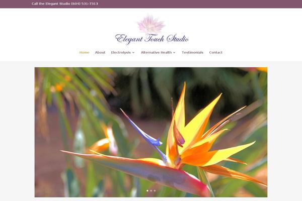 Divi theme site design template sample
