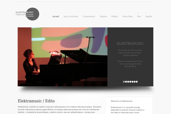 elektramusic.fr site used Theme1401
