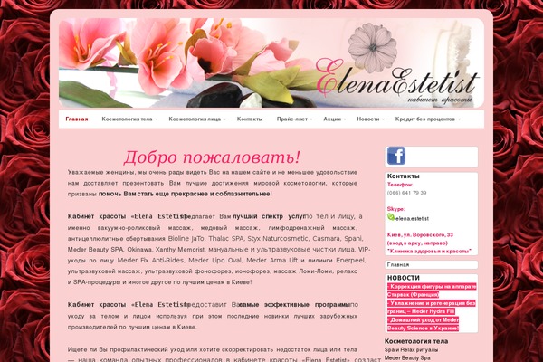 WordPress website example screenshot